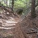 CIMG0446