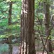 DSC02947