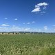 IMG 1709