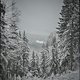 Winterpokal-Aktivität