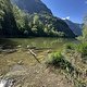 IMG 2976