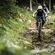 Im oberen Teil verläuft der Trail größtenteils entlang eines alten, sehr steinigen und ausgewaschenen Wanderwegs.