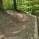 Gratis Wurzeltrail