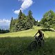 IMG 8791