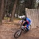IMG 3309