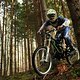 Woods...