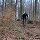 IMG 5245