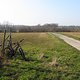 IMG 4832