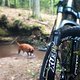 Mit Maja unterwegs 1
