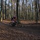 IMG 1825
