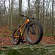 Felsen