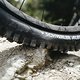 Schwalbe albert radial finale 13