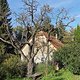 IMG 20241012 161222