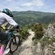 IMG 4357