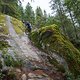 BC Squamish - Souerkraut