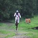 IMG 9732