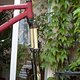 IMG 6065
