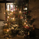 Weihnachtsbaum 2015 - 2