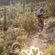 SCOTT-SRAM 2019 action picture by Margus Riga MRP 2104
