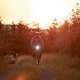 Sunset66 (MTB-News)
