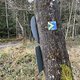 bikeroute-NähePWV-Huette