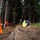 Der Eingang in den Wald wurde leicht modifiziert