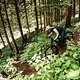 Technisch anspruchsvoller wirds am Blairwitch-Trail