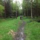 IMG 0354