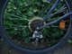 hawkhammerFlohmarktTeil1009