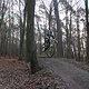 IMG 1423