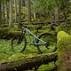 SLorencePhoto SB120 Loch RainForest Check LoRes 2500x1667 6