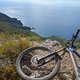 DSC09906