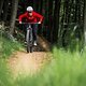 Der blaue Flowtrail verläuft in vielen Traversen eher flach den Hang entlang und kann komplett gerollt werden.