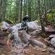 BC Squamish - Entrails