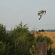 Nosedive