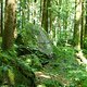 120603 HsW von Bergen um den Hochfelln 26