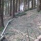 IMG 0967Large 1272301245