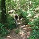 DSCF1517
