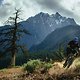 Ein Allrounder für jeden Trail - das verspricht Rocky Mountain mit dem Thunderbolt