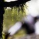 Oft ist zu starker Regen ein Faktor, um Events abzublasen. Heute war es leider der angesagte Wind, der die Organisatoren dazu zwang zwei Stages zu streichen.