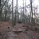 IMG 1515