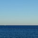 DSC06447-ck