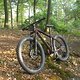 Cannondale Beast of the East 2 (12)