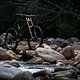 Nach den ersten Testfahrten ist Andi Kolb beeindruckt von seinem neuen Arbeitsgerät, dem YT Tues.