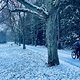 Winterpokal-Aktivität