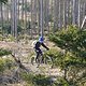 Mit Moppel im Taunus