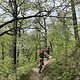 IMG 7933
