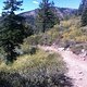 IMG 0660
