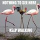 keep walking