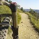 Trail zum Edelweiß